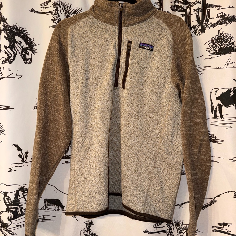 Patagonia Men's Better Sweater 1/4-Zip Fleece Pullover